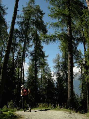 Paroisse | Sortie du Conseil en Valais, 2014